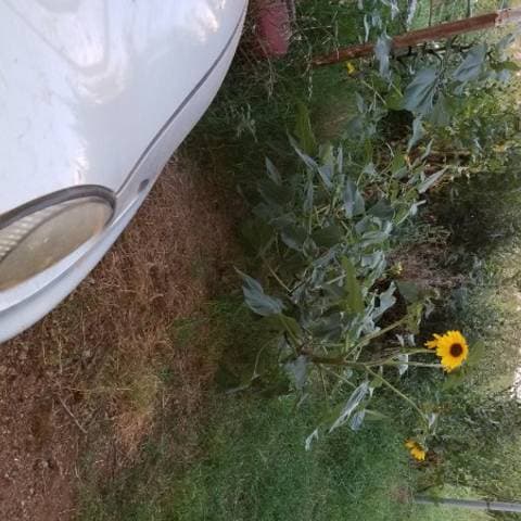 Avatar for Mary Williams